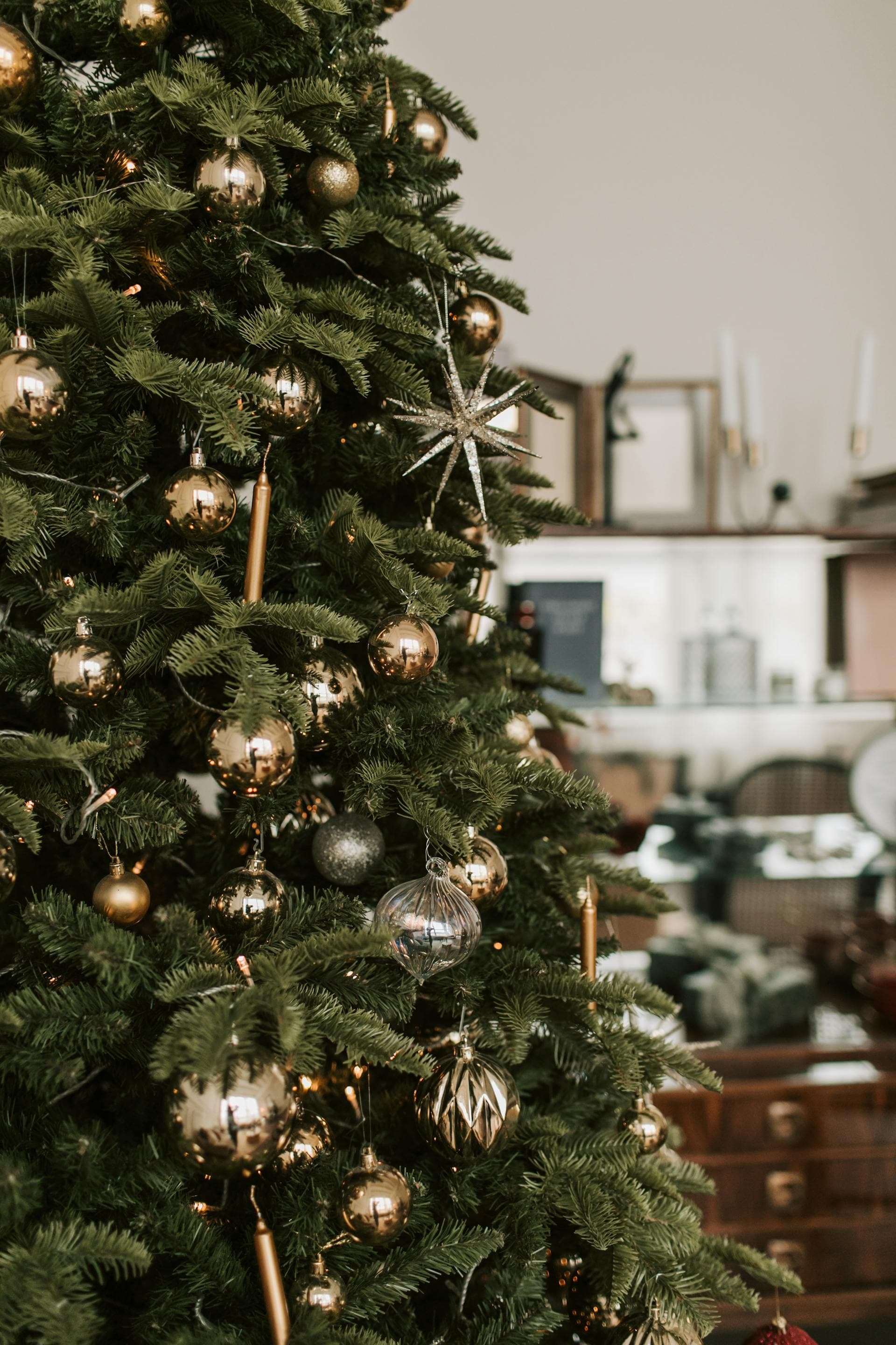 christmas season